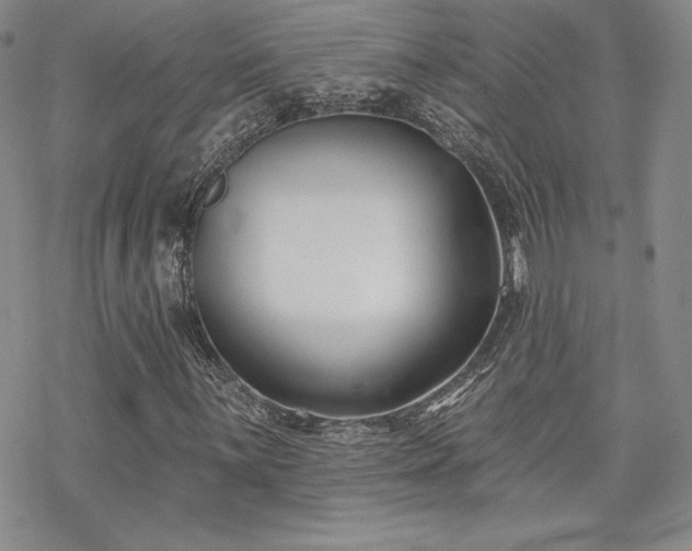 X0000070241059200606051119