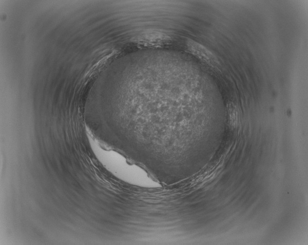 X0000070241060200606051119