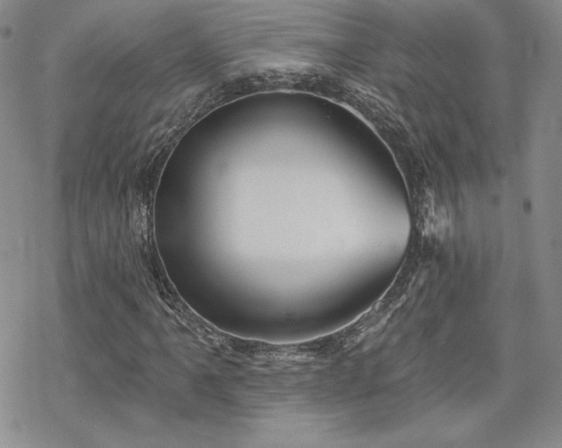 X0000070241061200606051119