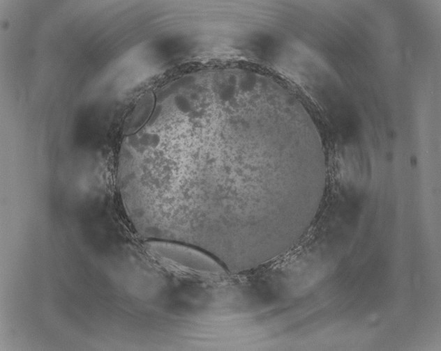 X0000070241063200606051119