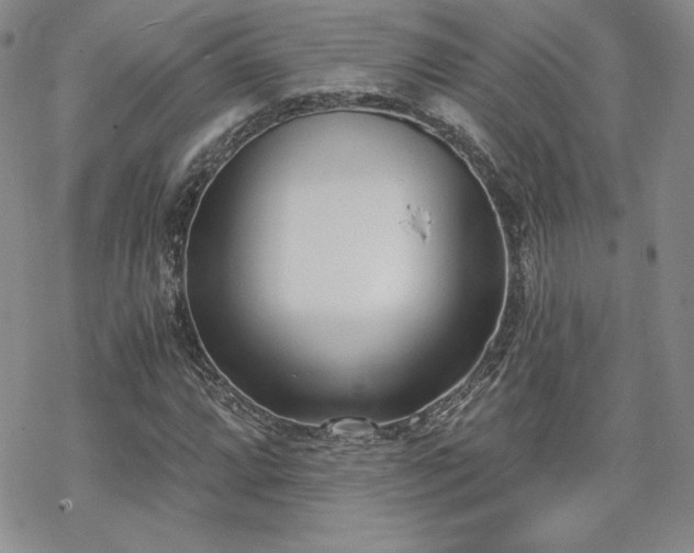 X0000070241064200606051119