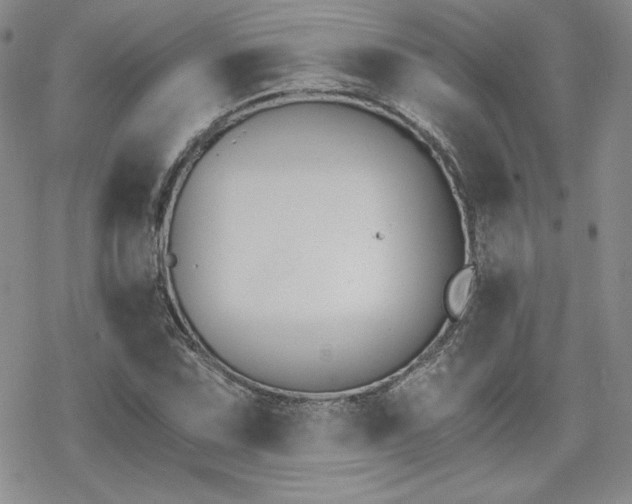 X0000070241067200606051119