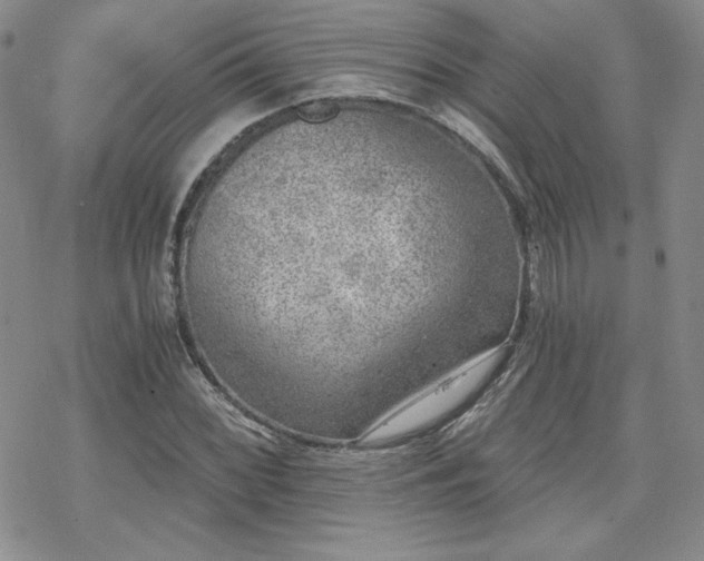 X0000070241068200606051119