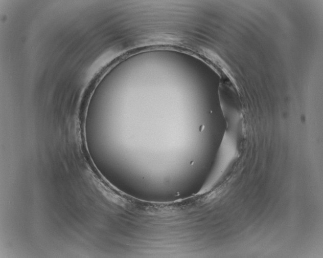 X0000070241072200606051119