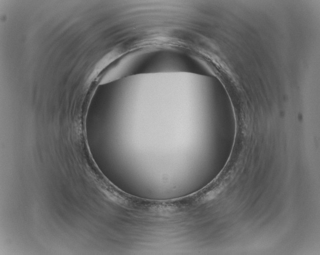 X0000070241073200606051119