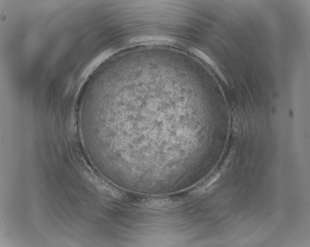 X0000070241074200606051119