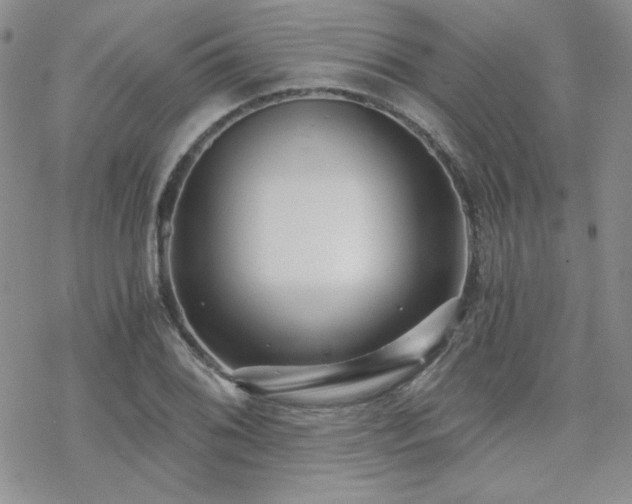 X0000070241076200606051119