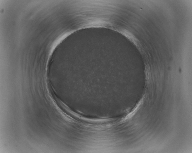 X0000070241077200606051119