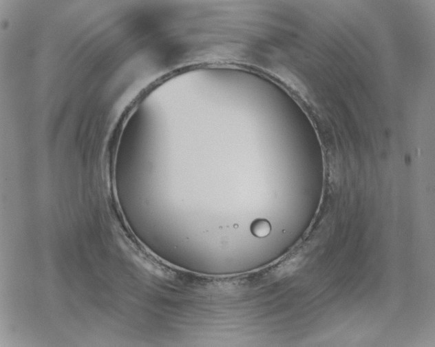 X0000070241078200606051119