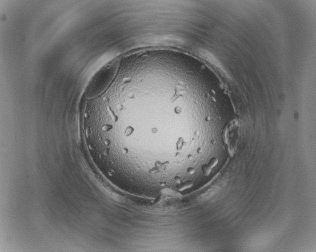 X0000070241079200606051119