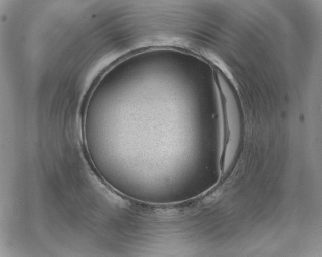 X0000070241080200606051119