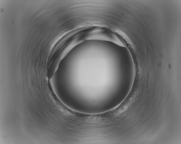 X0000070241081200606051119