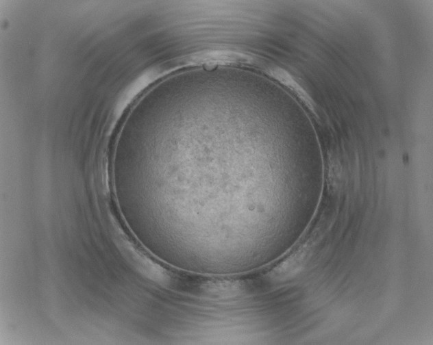 X0000070241083200606051119