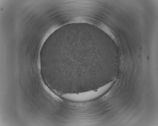 X0000070241084200606051119