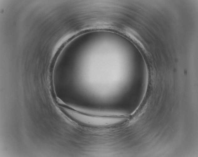 X0000070241085200606051119