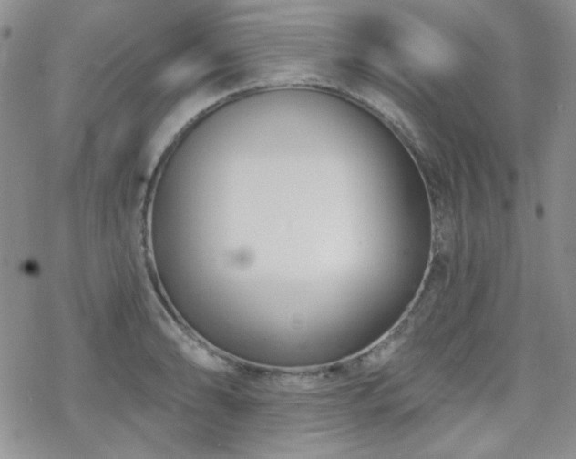 X0000070241086200606051119