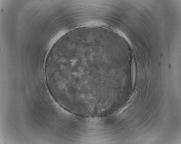 X0000070241087200606051119