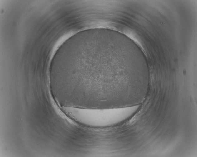 X0000070241088200606051119