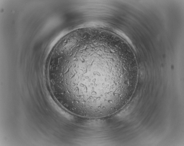 X0000070241091200606051119