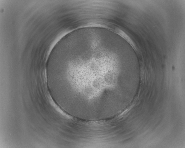 X0000070241092200606051119