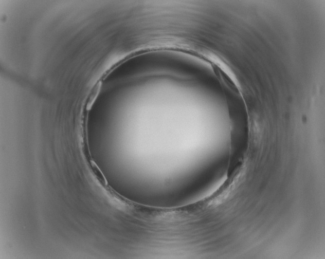 X0000070241093200606051119