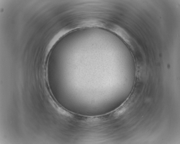 X0000070241094200606051119