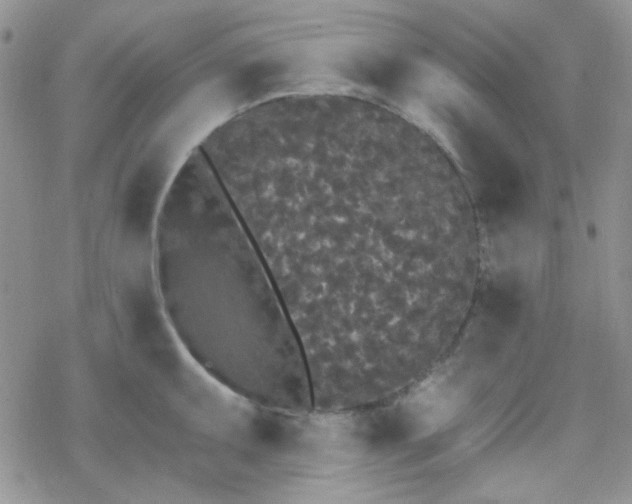 X0000070241095200606051119