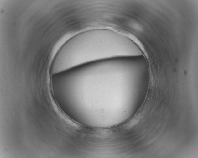 X0000070241096200606051119