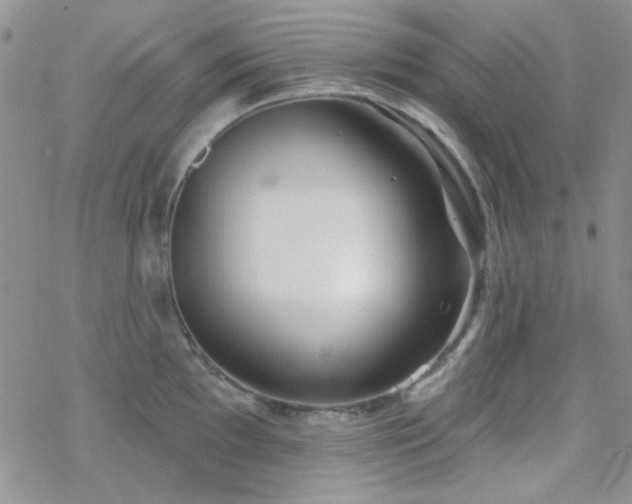 X0000070241097200606051118