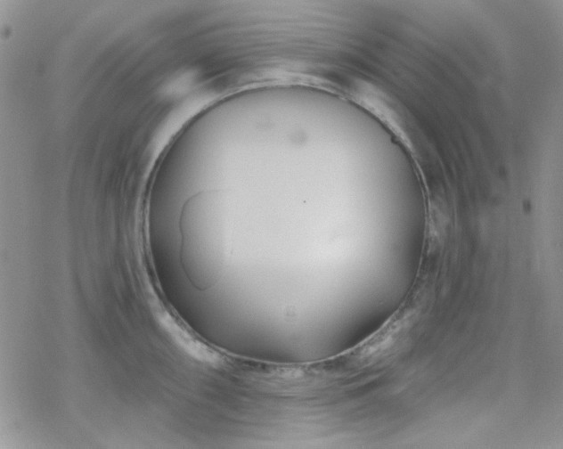 X0000070241098200606051118