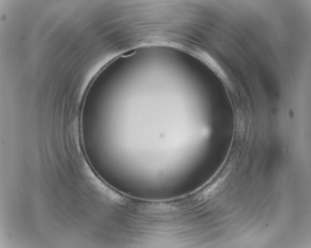 X0000070241100200606051118