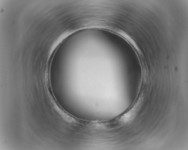 X0000070241101200606051118