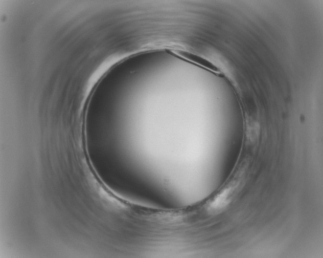 X0000070241102200606051118