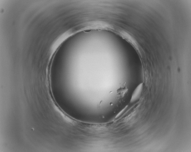 X0000070241103200606051118