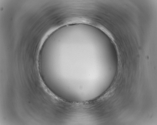 X0000070241104200606051118