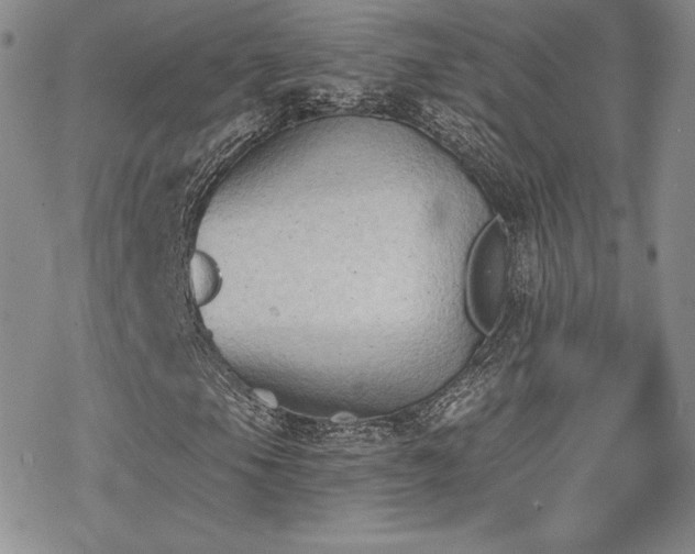 X0000070241105200606051118