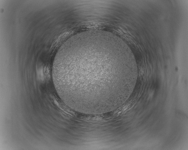 X0000070241106200606051118