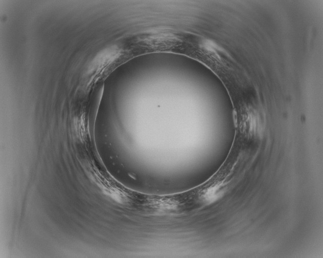 X0000070241108200606051118