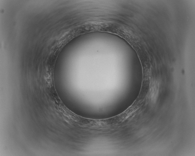 X0000070241109200606051118