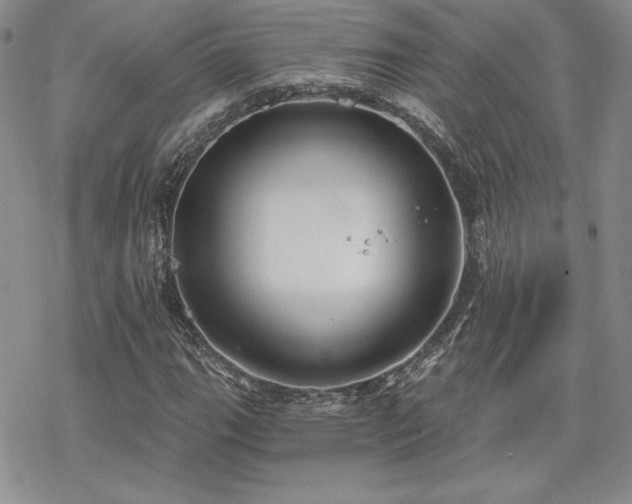 X0000070241111200606051118