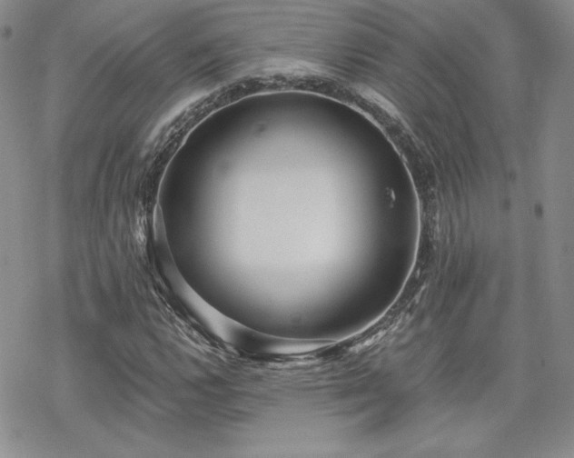 X0000070241112200606051118