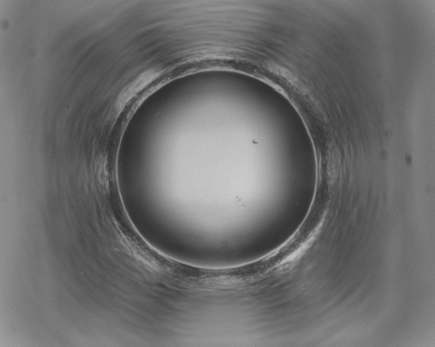 X0000070241113200606051118