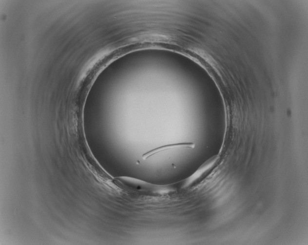 X0000070241115200606051118