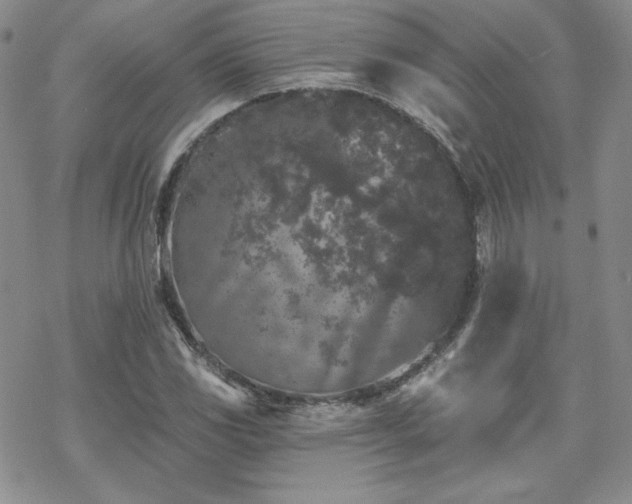 X0000070241117200606051118