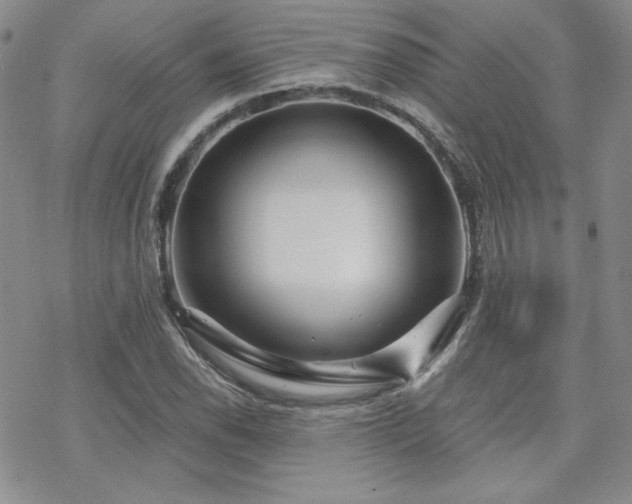 X0000070241118200606051118