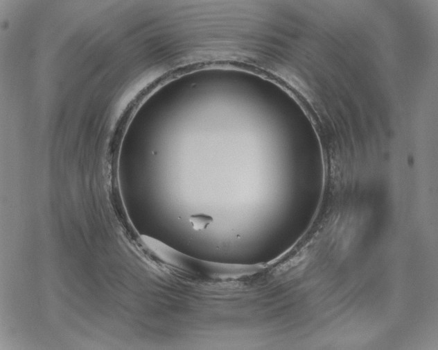 X0000070241119200606051118