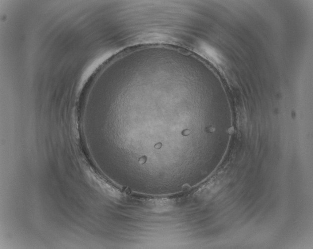 X0000070241120200606051118