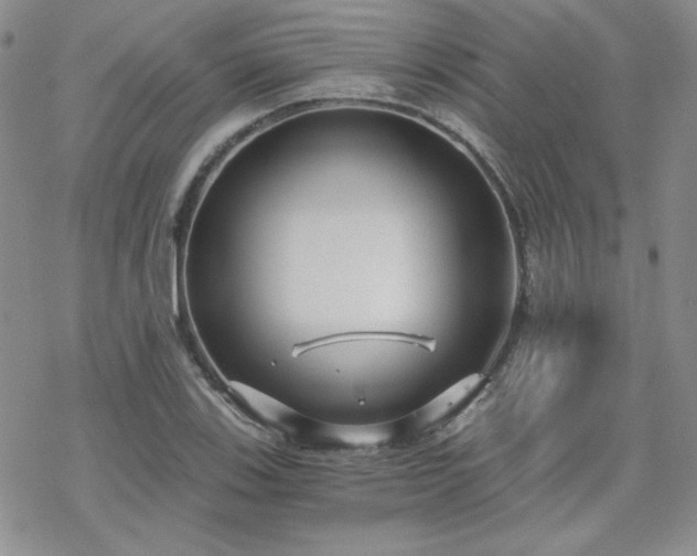 X0000070241123200606051118