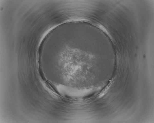 X0000070241124200606051118