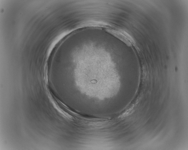 X0000070241128200606051118